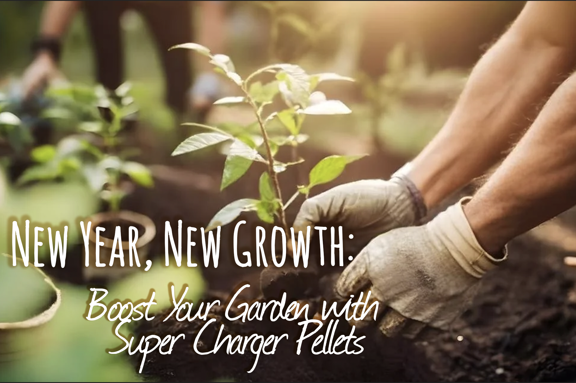 New Year, New Growth: Boost Your Garden with Super Charger Pellets