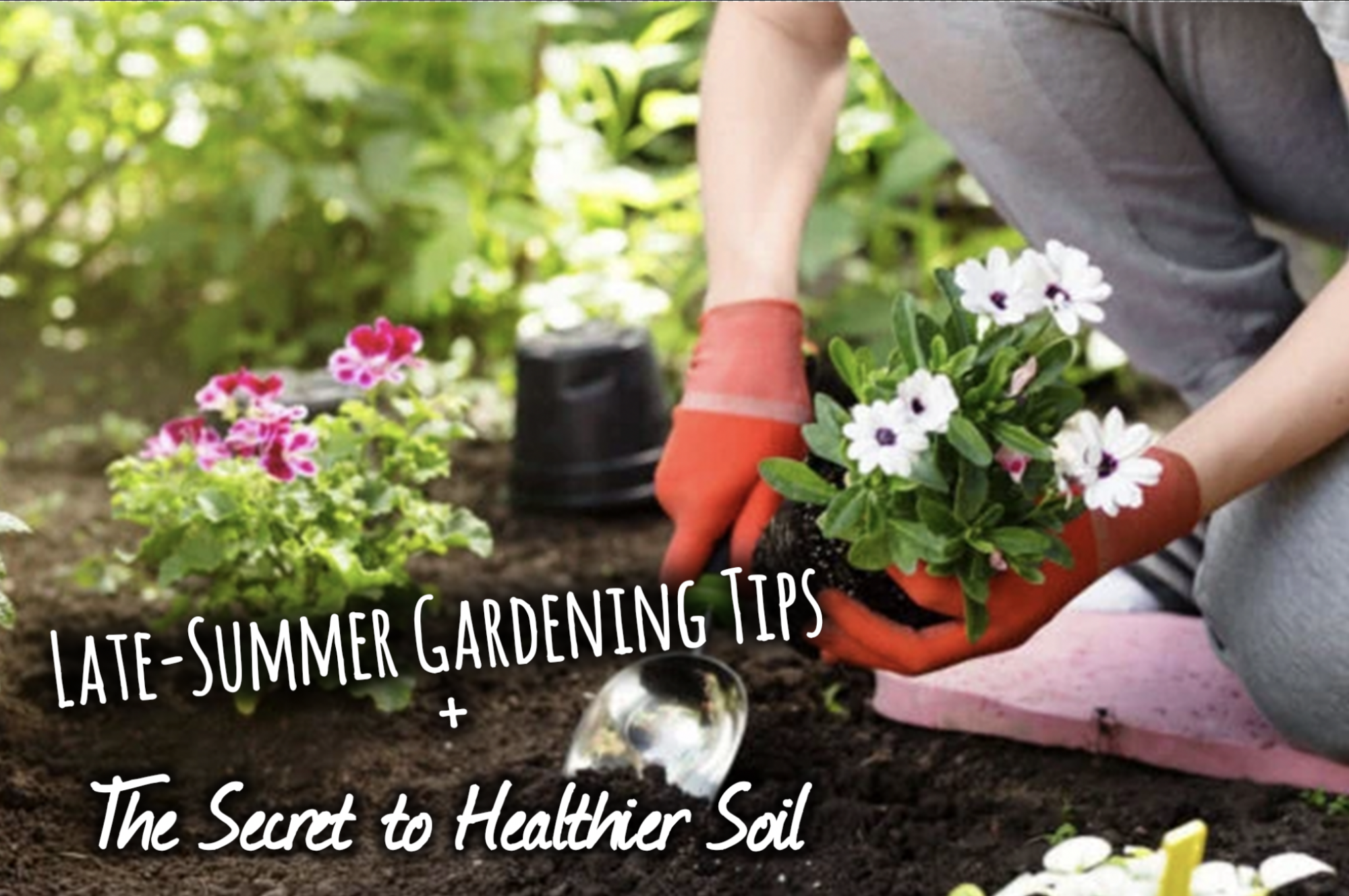 Keep Your Garden Thriving This February!